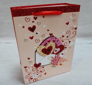 Пакет подарочный  0042 (23х18х10см )