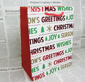 Пакет подарочный новогодний (24Х18Х10) 3д