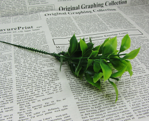 Ветка  зелени декоративной (12х20 см )