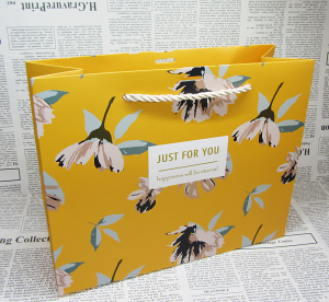 Пакет подарочный 82010 (26х19х10см )